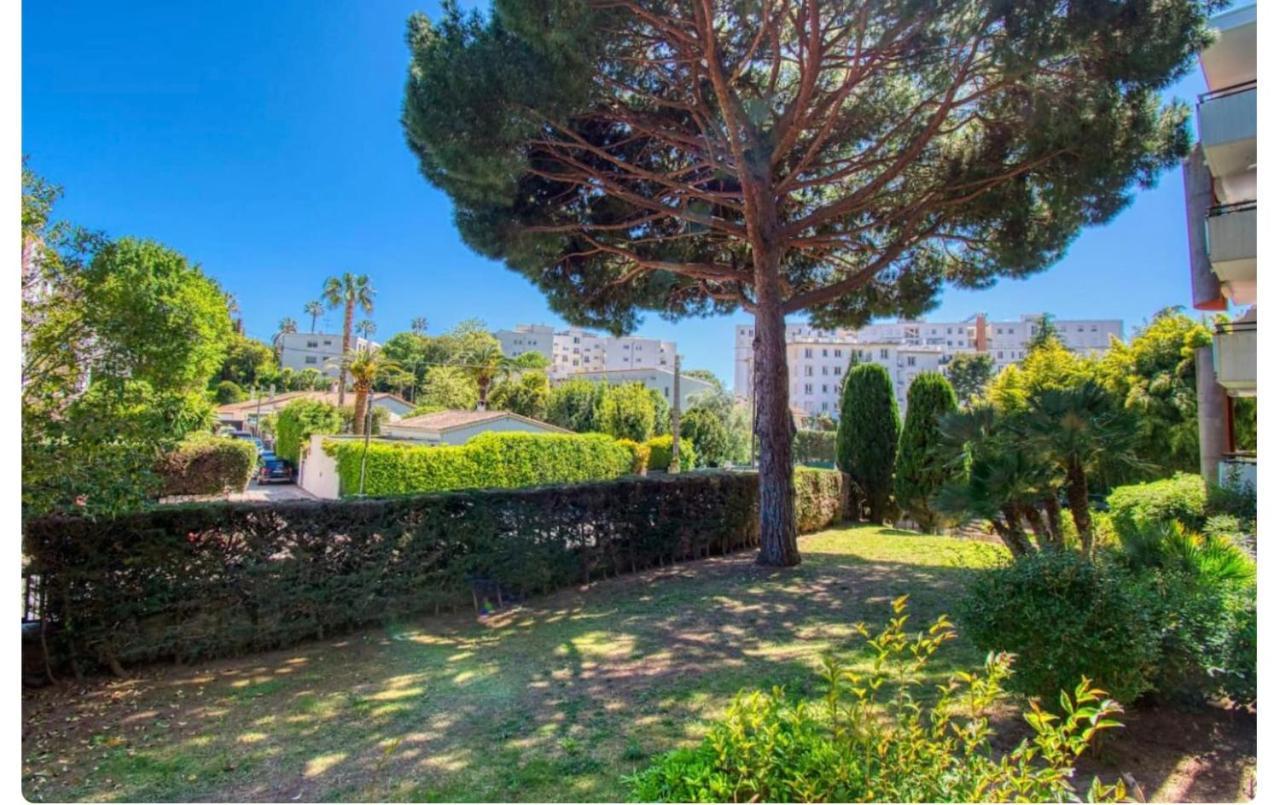Superbe Studio Lumineux Sur Cannes Avec Terrasse ! A Quelques Minutes De La Celebre Rue D'Antibes ! Εξωτερικό φωτογραφία