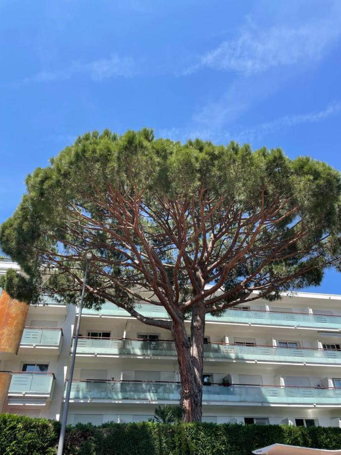 Superbe Studio Lumineux Sur Cannes Avec Terrasse ! A Quelques Minutes De La Celebre Rue D'Antibes ! Εξωτερικό φωτογραφία